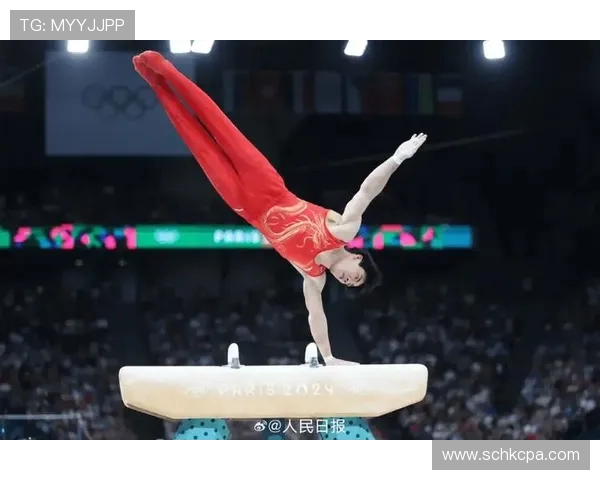 张博恒谈对体操精神的历史传